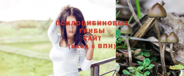 спиды Магадан
