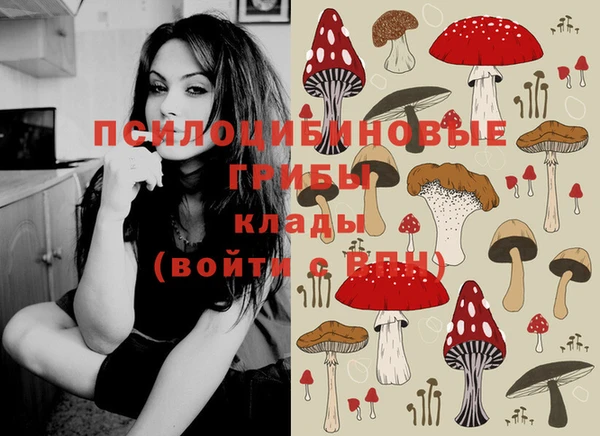 кокаин премиум Магас