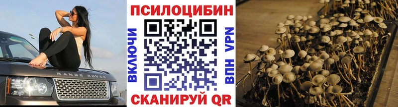 это как зайти  Медвежьегорск  Галлюциногенные грибы MAGIC MUSHROOMS  МЕГА зеркало 